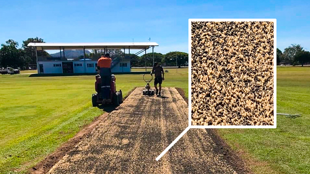 Hybrid H3 cricket wicket